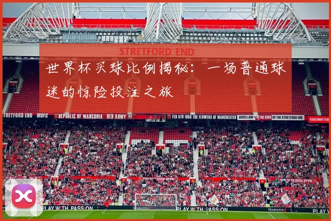 世界杯买球比例揭秘：一场普通球迷的惊险投注之旅